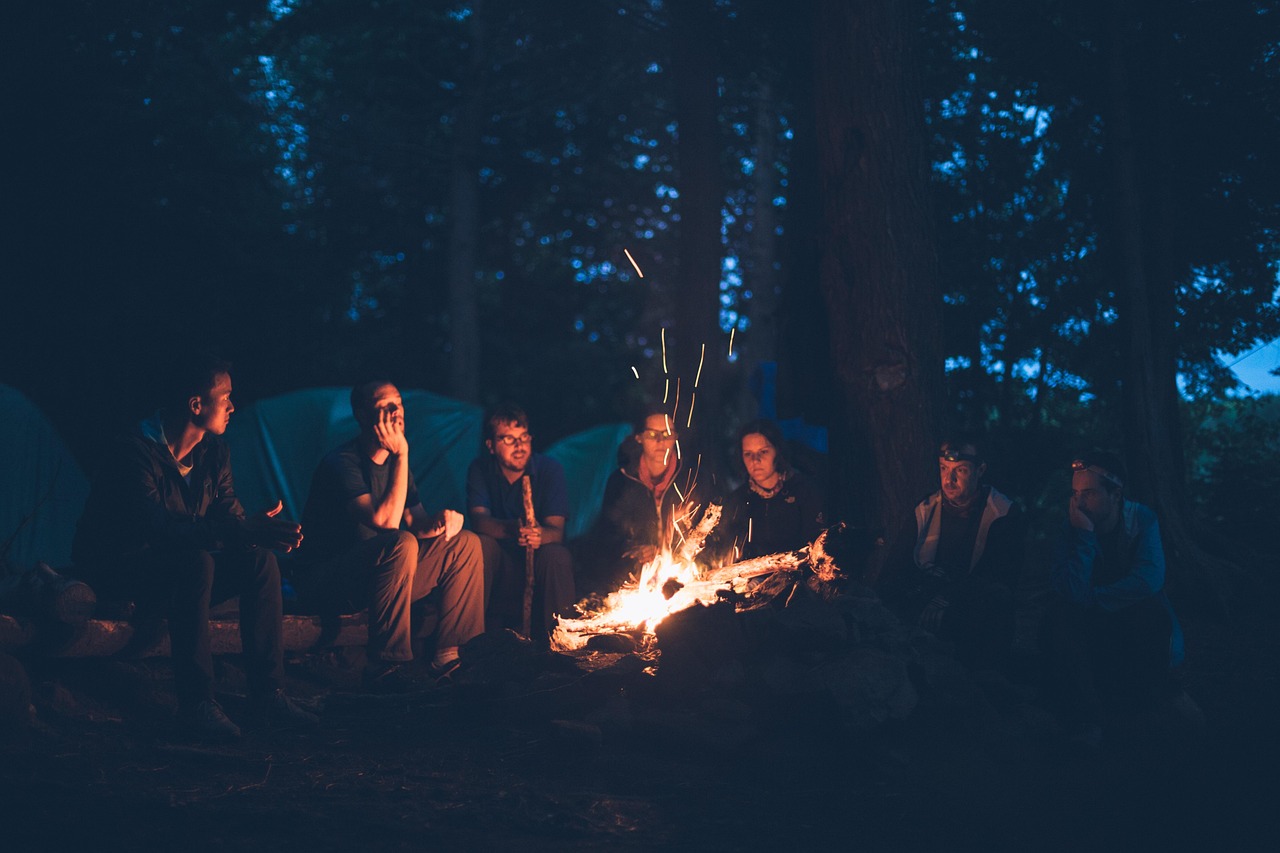 bonfire, camping, people, fire, campfire, heat, flames, embers, firewood, group, outdoors, recreational activity, nature, friendship day, friends, campfire, campfire, friends, friends, friends, friends, friends